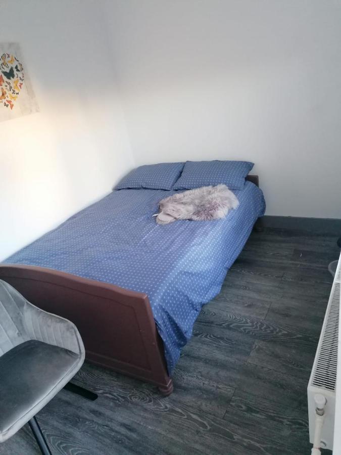 Pensiunea Nela Cluj-Napoca Ngoại thất bức ảnh
